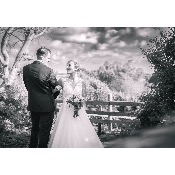 Mariage de Mélanie et Clément le 13/07/2024 au Jardin de l’Aber à Brélès