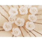 Lot de 5 épingles à cheveux de mariage argenté